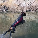Red and black Doggie Wetsuit