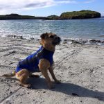 Scottish waters keeping warm