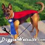 Team Timber sponsored by Doggie Wetsuits